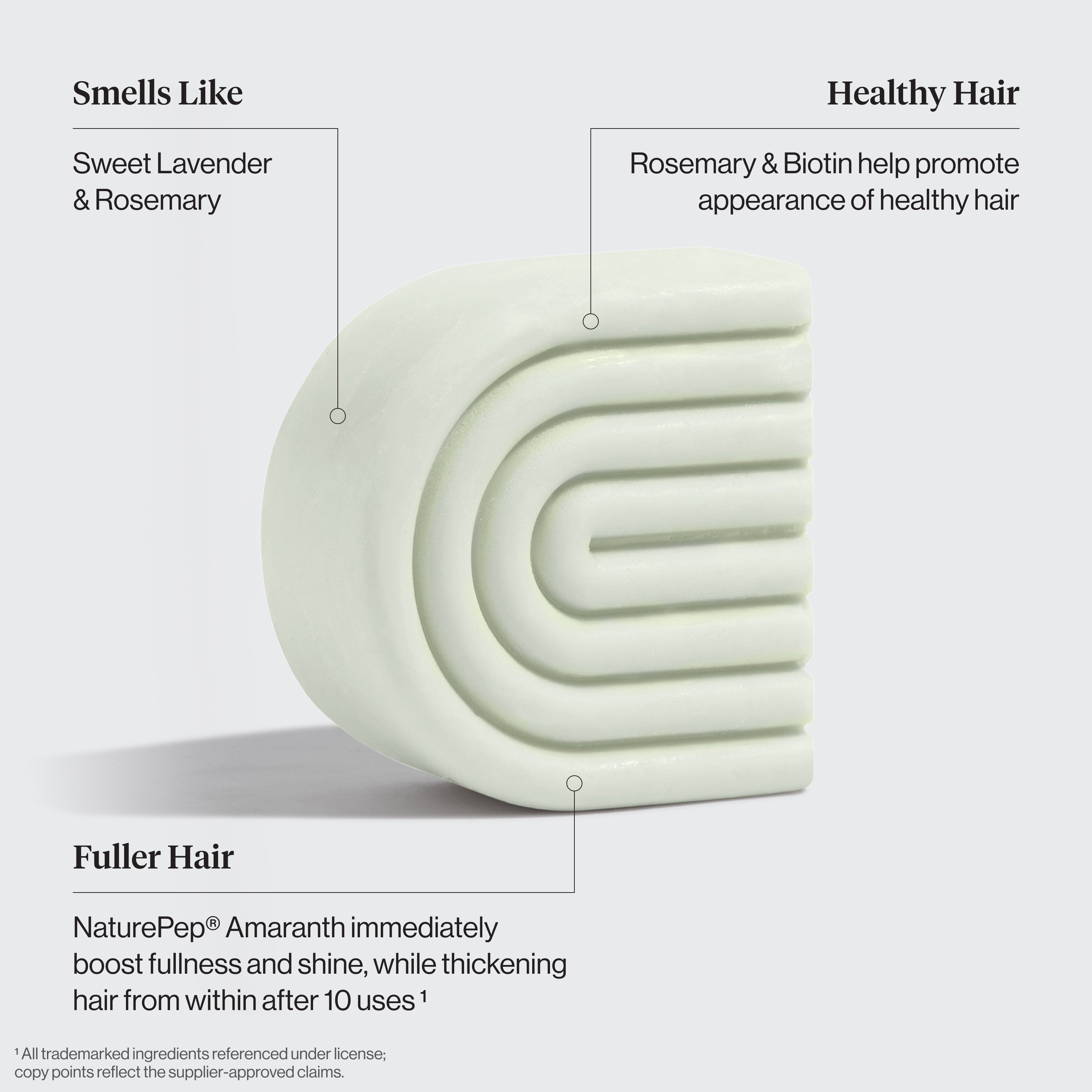 Winter Welcome Kit Rosemary & Biotin Volumizing Shampoo & Conditioner Bar Combo